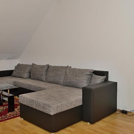 Appartement Apartman U Kotnova à Tábor Extérieur photo